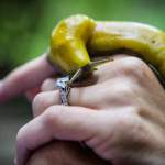 745ADB98-C6E7-49AE-A8DD-A17AFB019697